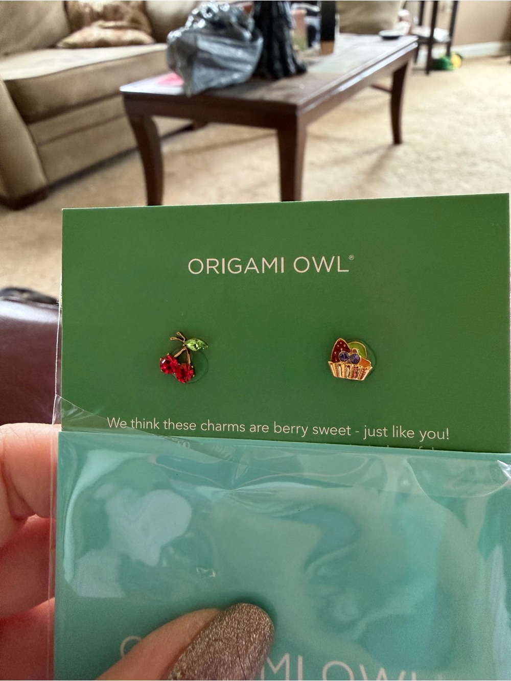Origami Owl Women’s Red & Multi-Color Berry Charm Set